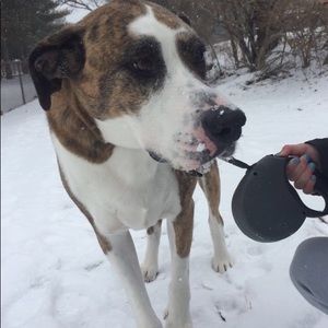 Meet your Posher, Cait